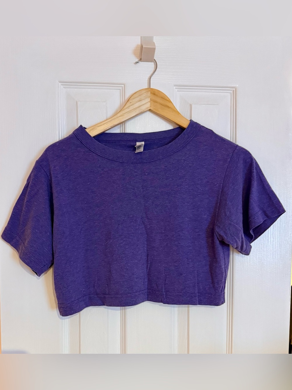 American Apparel Purple Cropped Tee